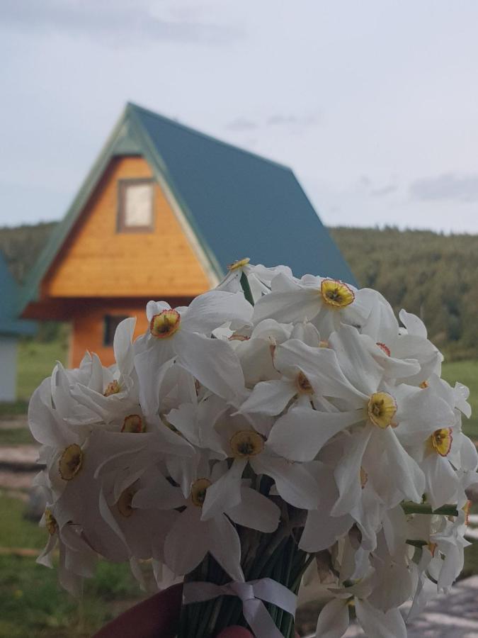 Bungalovi Tim Žabljak Zewnętrze zdjęcie